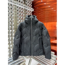 Louis Vuitton Down Jackets